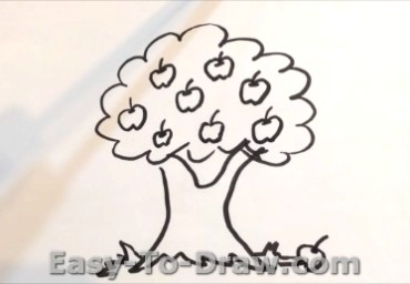 How to draw apple tree 03