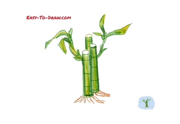 Featured image of post Sugarcane Drawing For Kids Easy Stop the video periodically and add new element of butterfly to your drawing