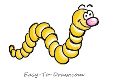 How to draw worm