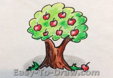 How-to-draw-apple-tree
