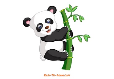 How to draw panda